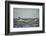 Humpback Whale, Sardine Run, Eastern Cape, South Africa-Pete Oxford-Framed Photographic Print