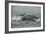 Humpback Whale, Sardine Run, Eastern Cape South Africa-Pete Oxford-Framed Photographic Print