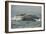 Humpback Whale, Sardine Run, Eastern Cape South Africa-Pete Oxford-Framed Photographic Print