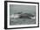 Humpback Whale, Sardine Run, Eastern Cape South Africa-Pete Oxford-Framed Photographic Print