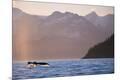 Premium Photographic Print