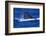 Humpback Whale Surfacing in the Ocean-DLILLC-Framed Photographic Print