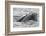 Humpback whale surfacing, rostrum above surface, Bay of Fundy, New Brunswick, Canada-Nick Hawkins-Framed Photographic Print