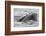 Humpback whale surfacing, rostrum above surface, Bay of Fundy, New Brunswick, Canada-Nick Hawkins-Framed Photographic Print