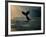 Humpback Whale Tail at Sunset-Stuart Westmorland-Framed Photographic Print