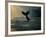 Humpback Whale Tail at Sunset-Stuart Westmorland-Framed Photographic Print