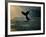 Humpback Whale Tail at Sunset-Stuart Westmorland-Framed Photographic Print