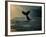 Humpback Whale Tail at Sunset-Stuart Westmorland-Framed Photographic Print