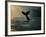 Humpback Whale Tail at Sunset-Stuart Westmorland-Framed Photographic Print