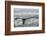 Humpback whale tail fluke above water, Bay of Fundy, New Brunswick, Canada-Nick Hawkins-Framed Photographic Print