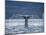 Humpback Whale Tail While Diving in Frederick Sound, Tongass National Forest, Alaska, Usa-Paul Souders-Mounted Photographic Print