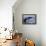Humpback Whale Tail-Michele Westmorland-Framed Premier Image Canvas displayed on a wall