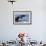 Humpback Whale Tail-Michele Westmorland-Framed Photographic Print displayed on a wall