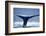 Humpback Whale Tail-JHVEPhoto-Framed Photographic Print