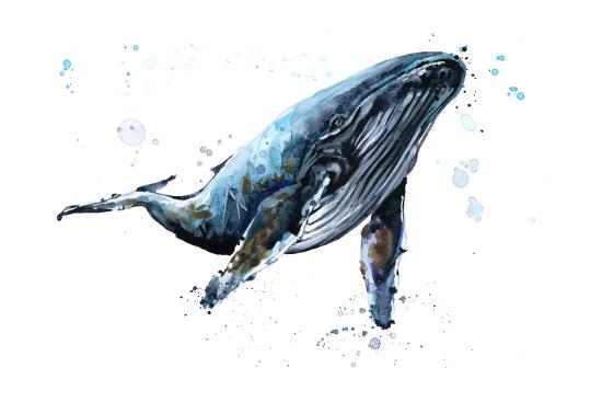 Humpback Whale Watercolor Illustration Underwater Fauna Art Print Faenkova Elena Art Com