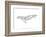 Humpback Whale-Antoine Tesquier Tedeschi-Framed Art Print