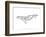 Humpback Whale-Antoine Tesquier Tedeschi-Framed Art Print