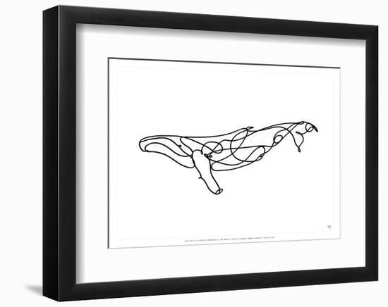 Humpback Whale-Antoine Tesquier Tedeschi-Framed Art Print