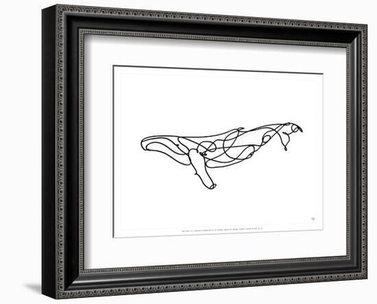 Humpback Whale-Antoine Tesquier Tedeschi-Framed Art Print