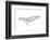 Humpback Whale-Antoine Tesquier Tedeschi-Framed Art Print