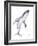 Humpback Whale-Suren Nersisyan-Framed Art Print