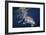 Humpback Whale-Barathieu Gabriel-Framed Giclee Print