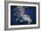 Humpback Whale-Barathieu Gabriel-Framed Giclee Print