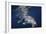 Humpback Whale-Barathieu Gabriel-Framed Giclee Print