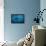 Humpback Whale-Reinhard Dirscherl-Framed Premier Image Canvas displayed on a wall