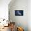 Humpback Whale-Barathieu Gabriel-Framed Premier Image Canvas displayed on a wall