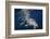 Humpback Whale-Barathieu Gabriel-Framed Photographic Print