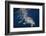 Humpback Whale-Barathieu Gabriel-Framed Photographic Print