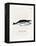 Humpback Whale-null-Framed Premier Image Canvas