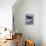 Humpback Whale-Art Wolfe-Photographic Print displayed on a wall