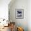 Humpback Whale-Art Wolfe-Framed Photographic Print displayed on a wall