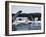 Humpback Whales, Frederick Sound, Alaska, USA-Stuart Westmoreland-Framed Photographic Print