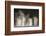 Humpback Whales Spouting While Feeding in Chatham Strait-Paul Souders-Framed Photographic Print