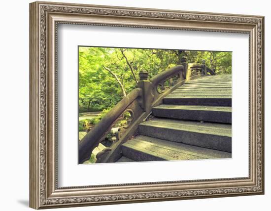 Humpbacked Bridge Fragment-Yury Zap-Framed Photographic Print