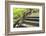 Humpbacked Bridge Fragment-Yury Zap-Framed Photographic Print