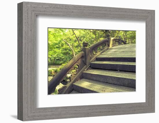 Humpbacked Bridge Fragment-Yury Zap-Framed Photographic Print