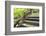 Humpbacked Bridge Fragment-Yury Zap-Framed Photographic Print