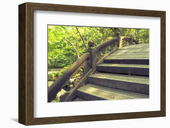 Humpbacked Bridge Fragment-Yury Zap-Framed Photographic Print