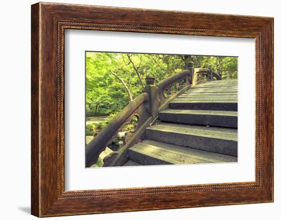 Humpbacked Bridge Fragment-Yury Zap-Framed Photographic Print