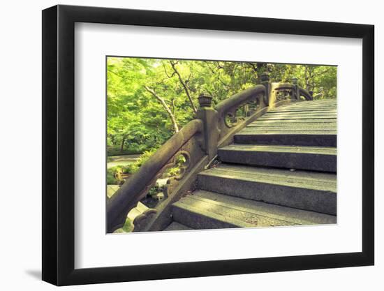 Humpbacked Bridge Fragment-Yury Zap-Framed Photographic Print