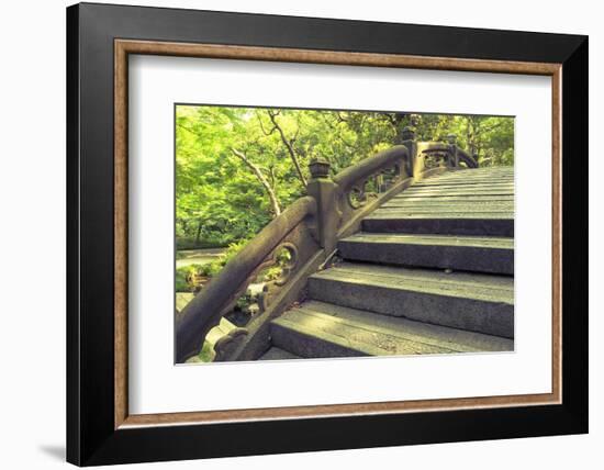 Humpbacked Bridge Fragment-Yury Zap-Framed Photographic Print