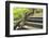 Humpbacked Bridge Fragment-Yury Zap-Framed Photographic Print