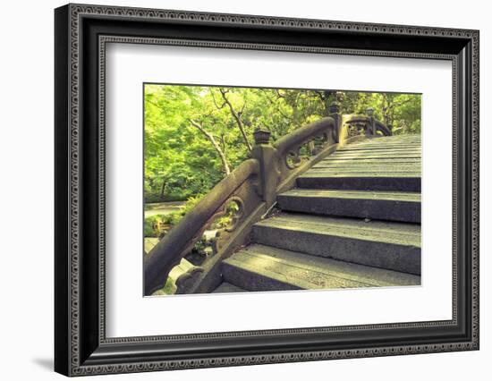 Humpbacked Bridge Fragment-Yury Zap-Framed Photographic Print