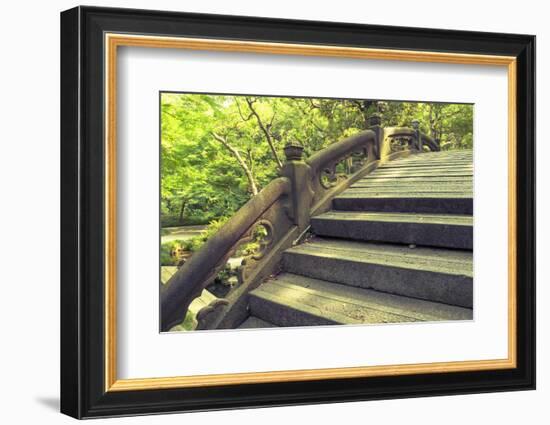 Humpbacked Bridge Fragment-Yury Zap-Framed Photographic Print