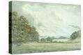 Stretched Canvas Print