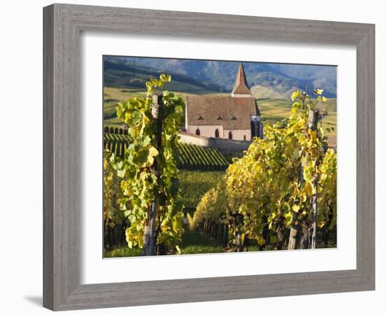 Hunawihr, Alsatian Wine Route, Alsace Region, Haut-Rhin, France-Walter Bibikow-Framed Photographic Print